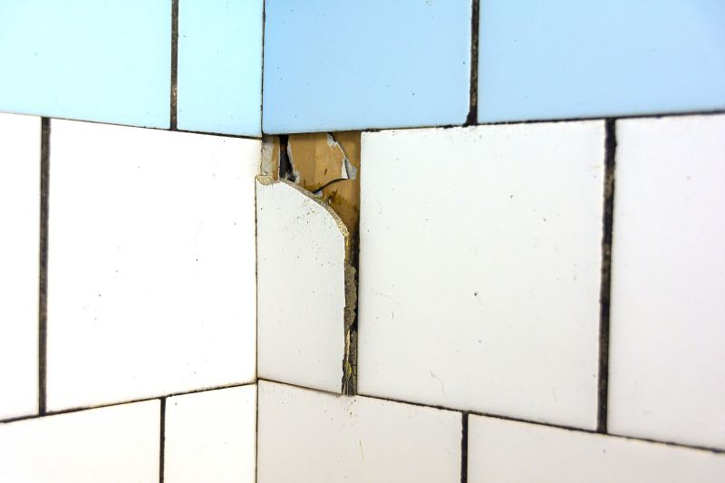 Residential Tile Repair
